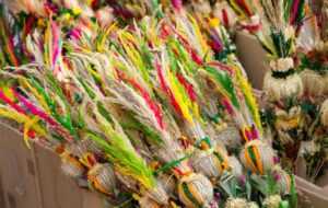 logo3_151860_20170314092639