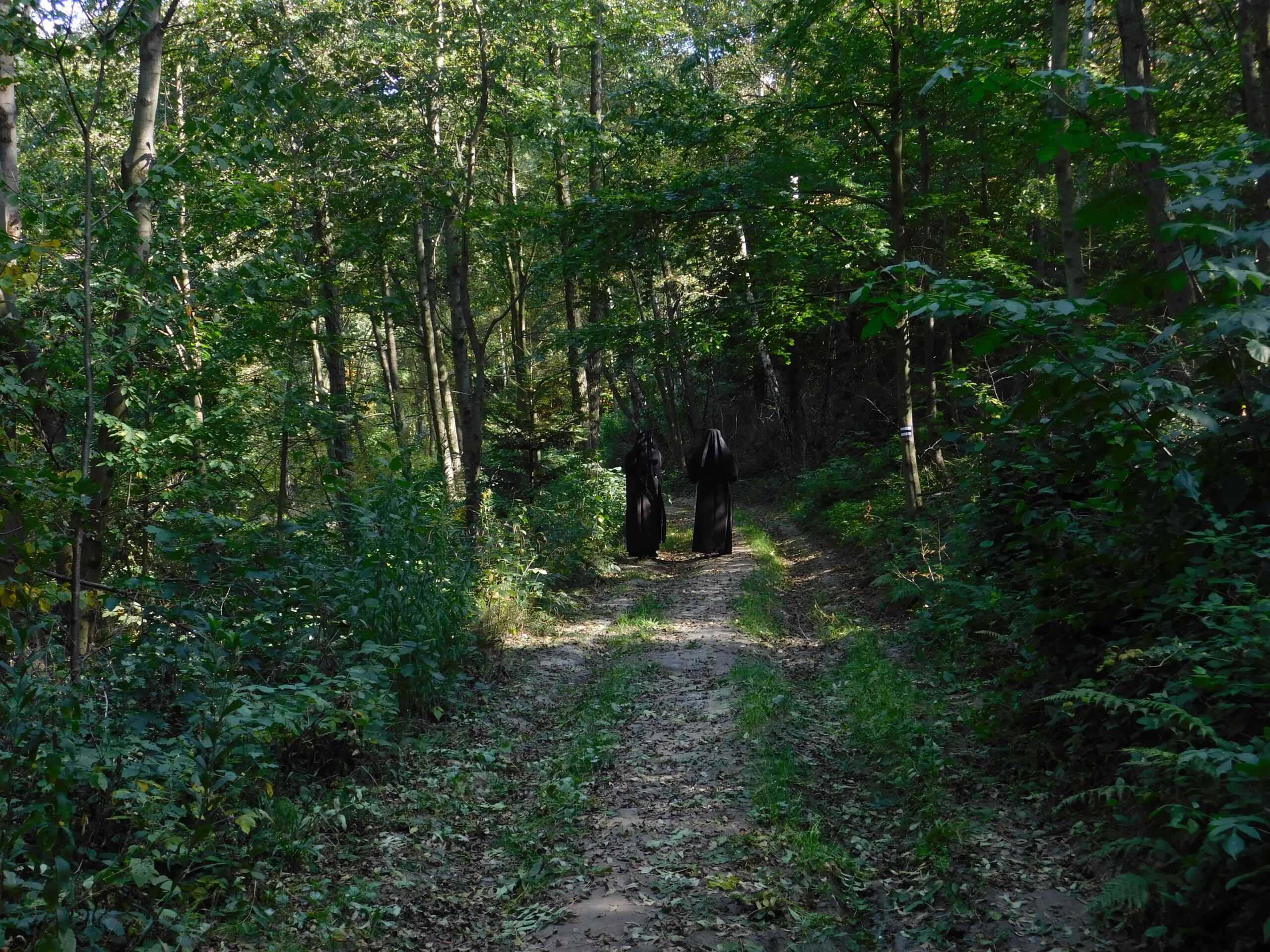 Nowa odsłona Sióstr Bernardynek